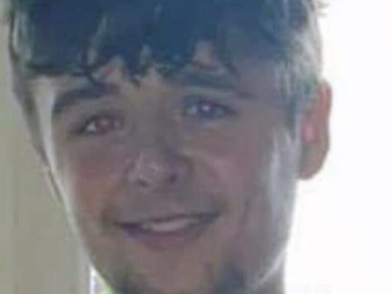 A murder investigation has been launched after 19-year-old Tyler Donnelly was stabbed to death in Hanworth Park, west London.