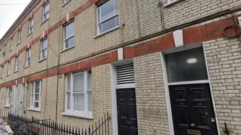 An 80-year-old pensioner died after falling from a ladder while trying to refill a power meter eight feet above the ground at a London council flats, a coroner’s report has revealed.