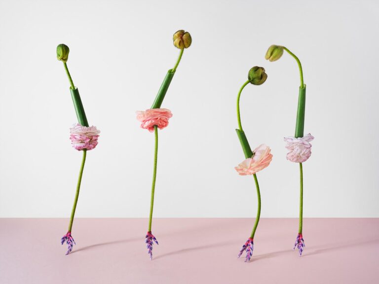 Anzenberger Gallery: Flower Secret Agent: Natalie Strohmeier: Unreachable Beauty