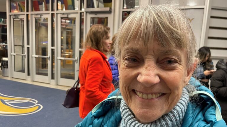 Voters voice their opinions in precinct caucuses at party meetings across Minnesota.