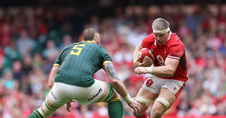 Wales face world champions South Africa at Twickenham