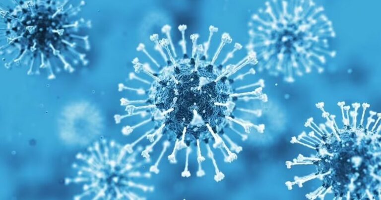 The outbreak of disease X is a matter of ‘when it will happen,’ the world is ‘not ready’