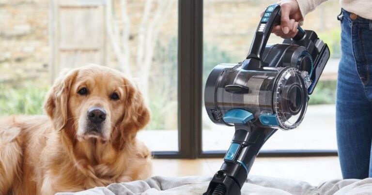 Fans of the #CleanTok trend find great deals on Shark and Dyson’s secret spring cleaning gadgets