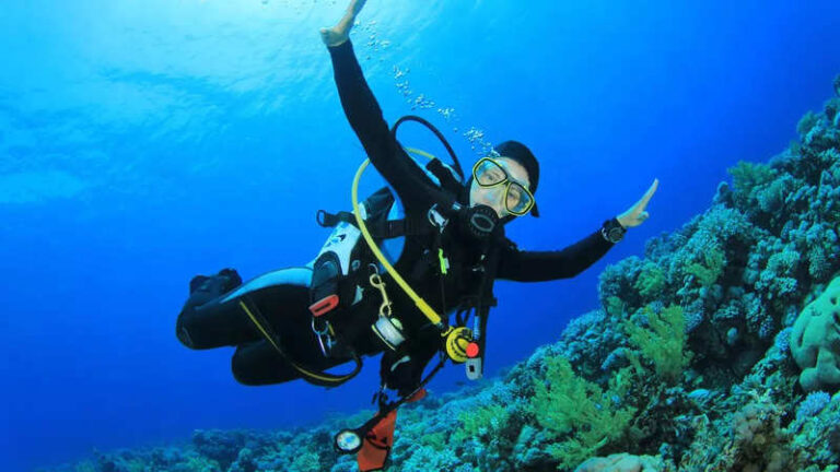 Are you planning to go scuba diving?Here is a list of essential technology gadgets for underwater exploration