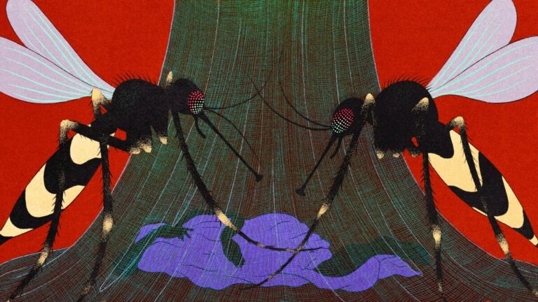 Changes in bed nets cause malaria infection rates to skyrocket, complicating global battle