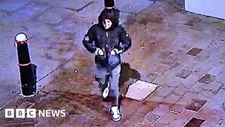 Clapham attack: man arrested on suspicion of helping Abdul Shokur Ezzedi