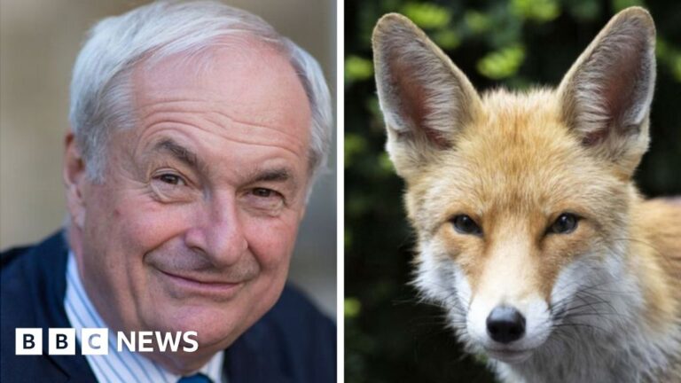 Paul Gambaccini: Radio 2 presenter takes on noisy London fox