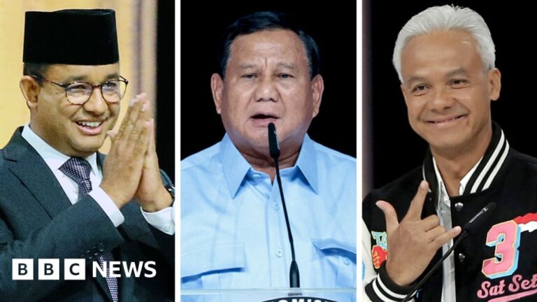 Indonesian elections: Who are the presidential candidates?