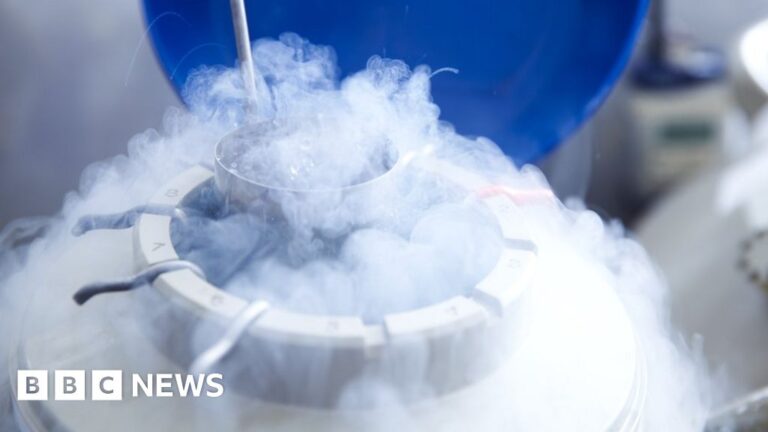 Frozen eggs could be damaged due to liquid failure at London clinic