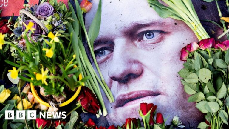 Alexei Navalny’s body will be held for two weeks for “chemical analysis”, family says