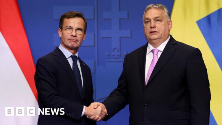 Hungarian parliament paves the way for Sweden to join NATO