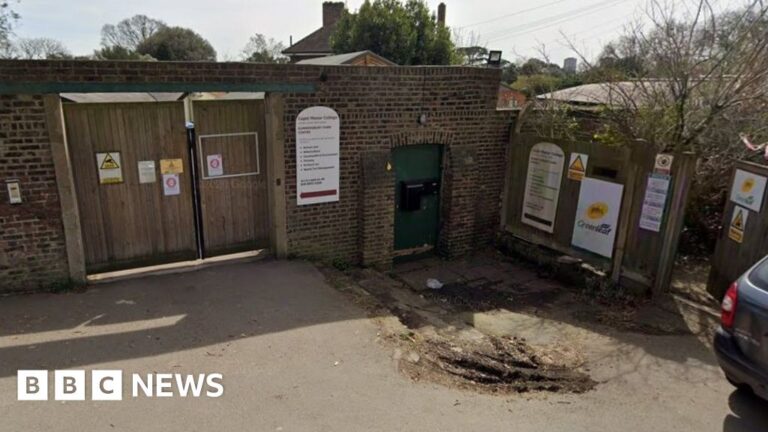 11-year-old and 12-year-old boy arrested for killing animal at university