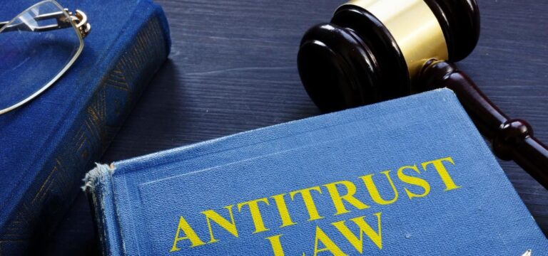 Rethinking antitrust law in a world where consumer welfare is the standard