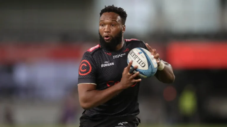 Two-time World Cup winners Springboks hope to spark Sharks’ comeback: PlanetRugby
