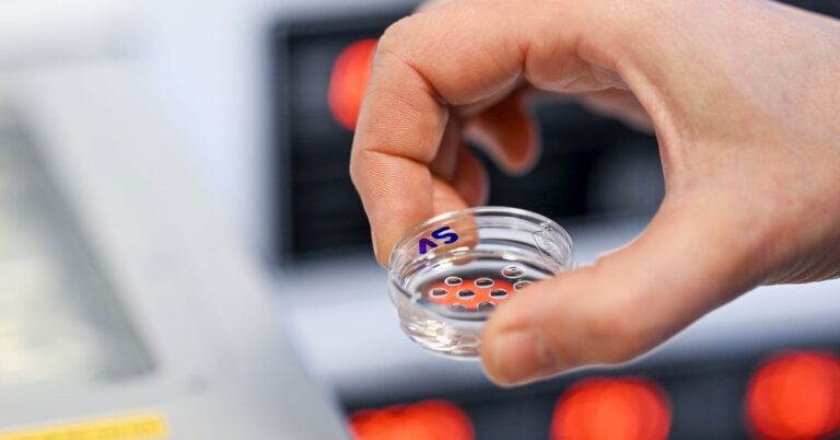 Alabama Supreme Court’s IVF opinion explains that embryos are children