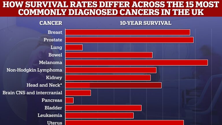 Union of cancer experts writes ‘letter to the world’ calling for urgent investment amid stark warning that cases will rise by 50% by 2040