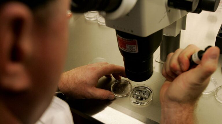 The Alabama judge’s opinion on IVF was clearly religious. Are you OK?