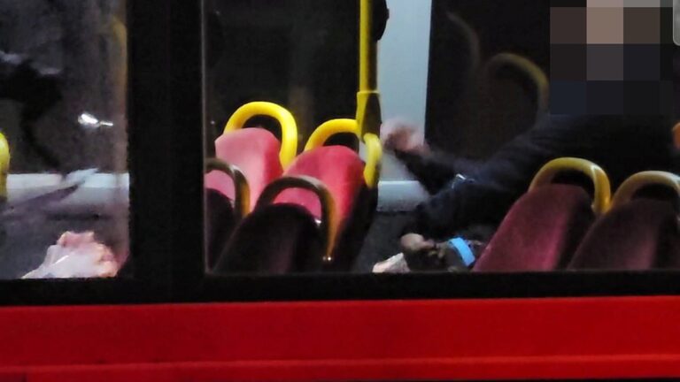 The dramatic moment police fired a Taser at an ‘acid attacker’ after he ‘threatened the driver and passengers’ on a London bus