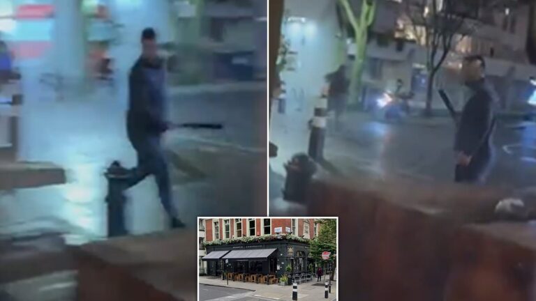 A manhunt for bat-wielding thugs who attacked a man outside a London pub shows horrifying scenes.