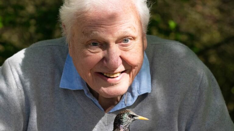 At 97, Sir David Attenborough remains completely fascinated by the wonders of nature, writes Christopher Stevens