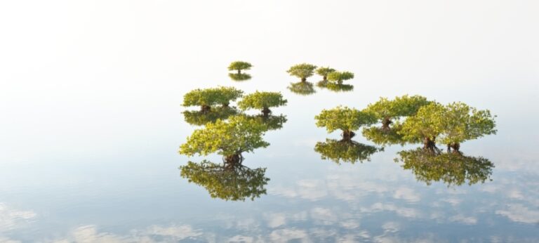 The world has an environmental to-do list, says UNEP chief