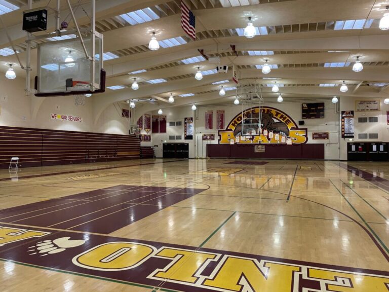 Opinion: School districts should eliminate online PE.