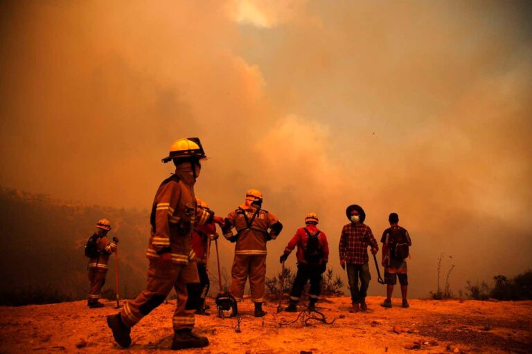 Hottest January on record, global temperature rise reaches 1.7°C