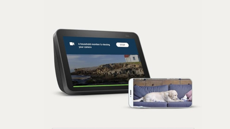 Valentine’s Day gifts: From boAt smart rings to Echo Show 8, check out the top tech gadgets