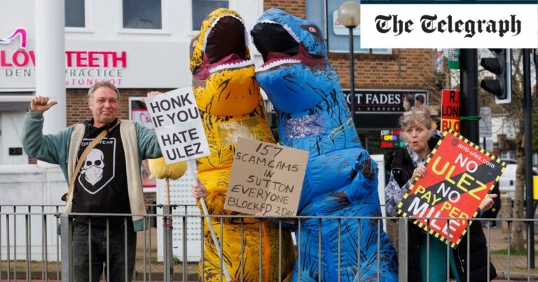 Anti-Urez campaigners block ‘all cameras’ in London borough