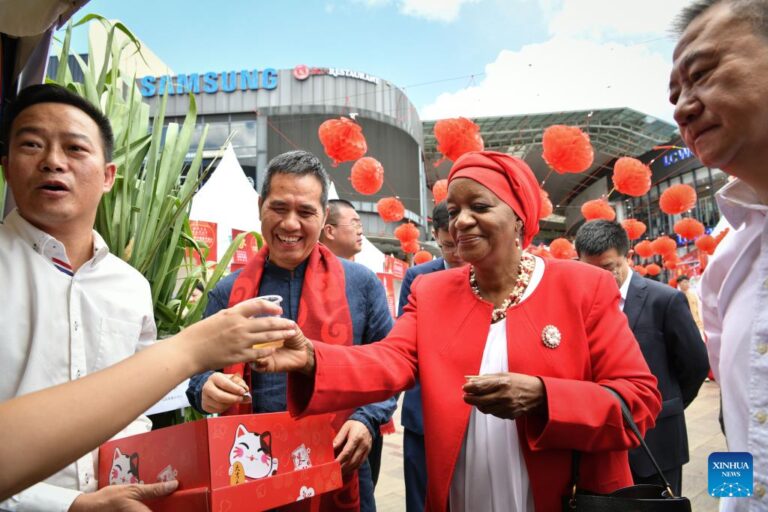 Lunar New Year festivities captivate Kenyans as cultural ties blossom – Xinhua News Agency