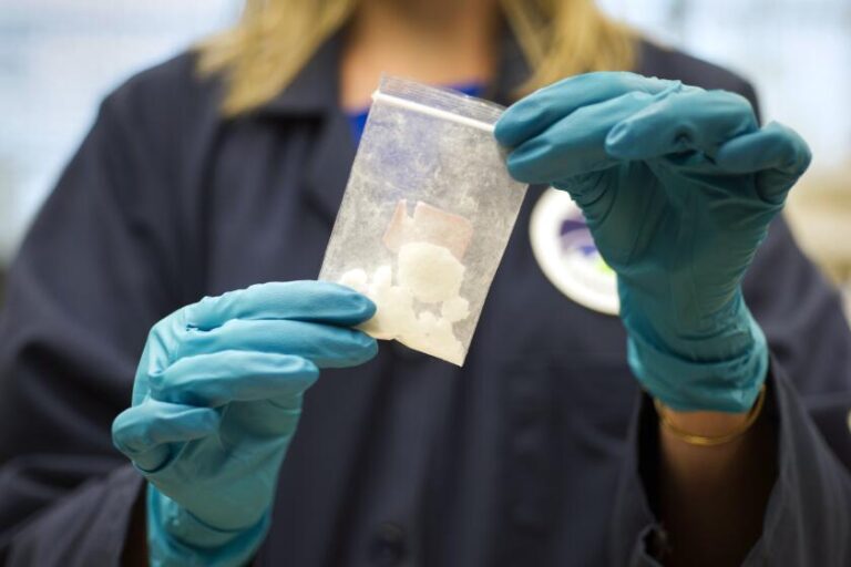 Many Americans believe that immigrants bring fentanyl across the border.it’s wrong and dangerous