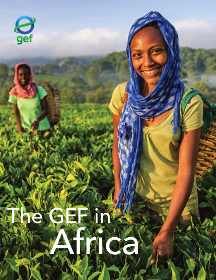 GEF in Africa – World
