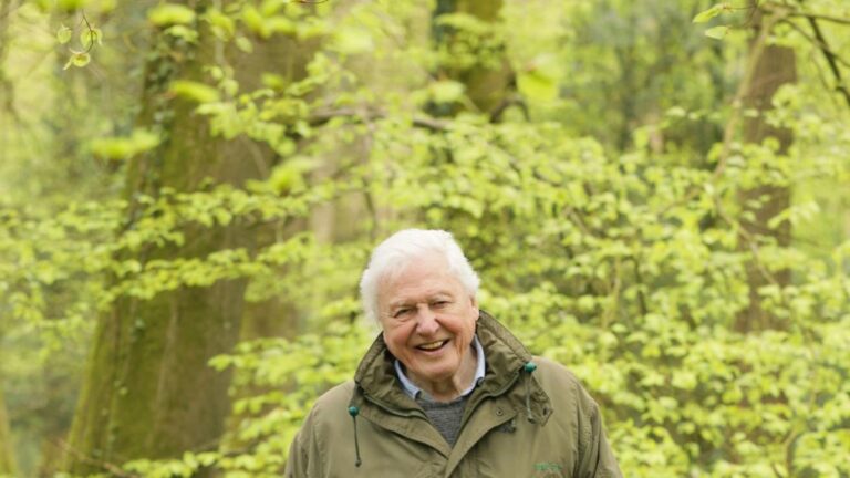 First look at David Attenborough’s Secret World Of Sound TV series