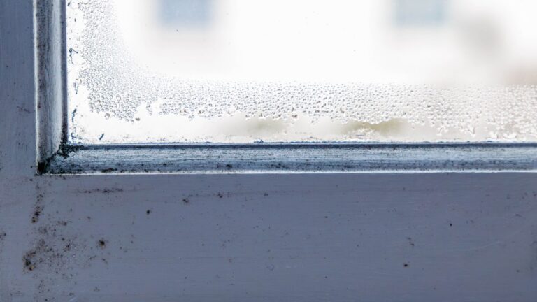 A shopper buys a 60p anti-mold product to remove condensation and exclaims: “I’ve never seen it so cheap.”