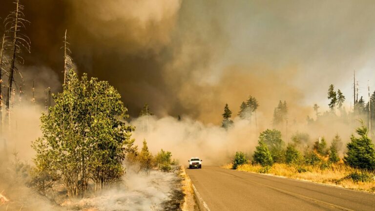 Surviving natural disasters with technology