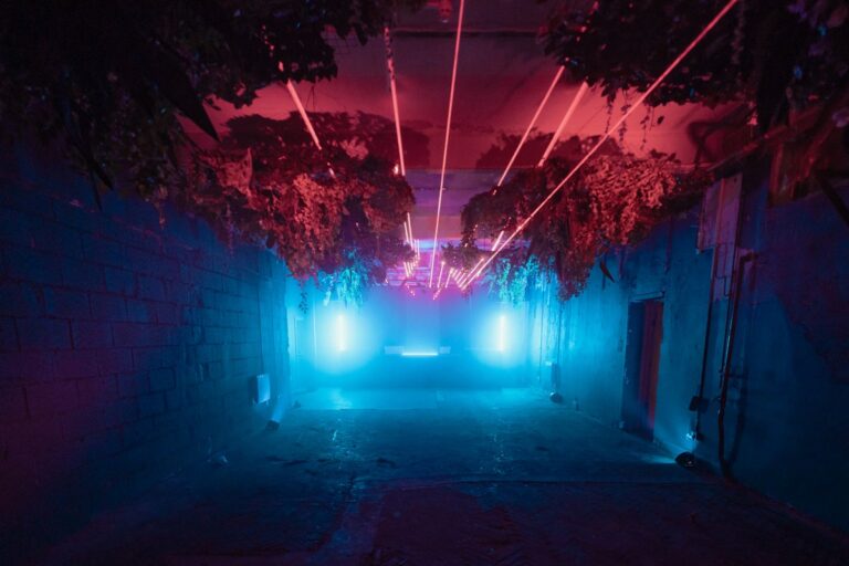 Here’s what you need to know about the nightlife staple