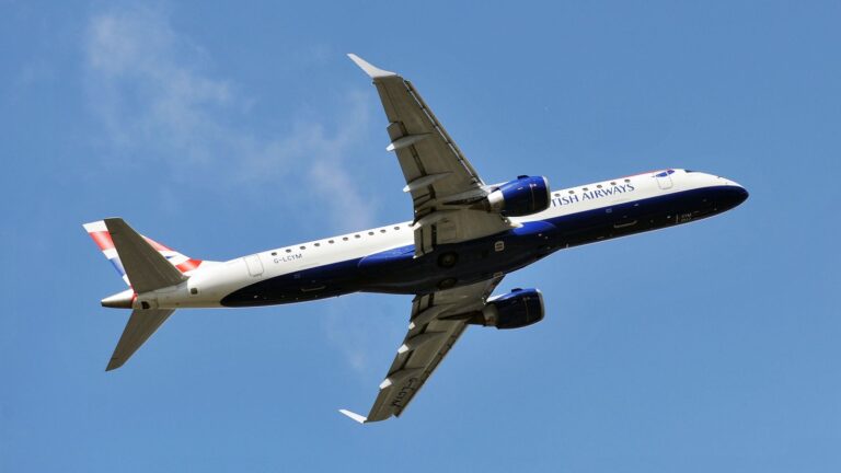 Man charged with ‘flying from London to New York without a ticket or passport’ | British News