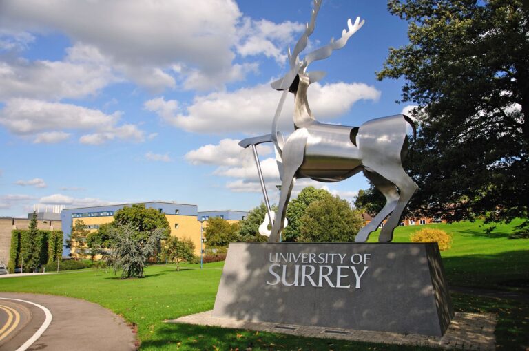 10-year plan to promote culture in Surrey | News