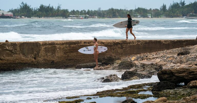 Local athletes reveal best surf spots for 2024 World Surfing Games organizers