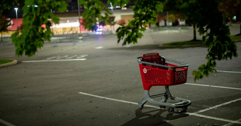 Opinion | Adele Waldman’s journey from Brooklyn literati to big-box store