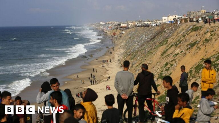 US to set up temporary port on Gaza coast to transport aid supplies