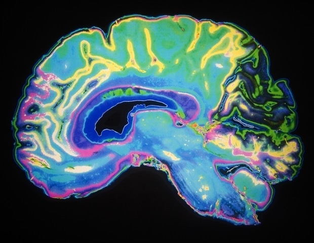 Cross-cultural research reveals commonalities and diversity in musical mental representations