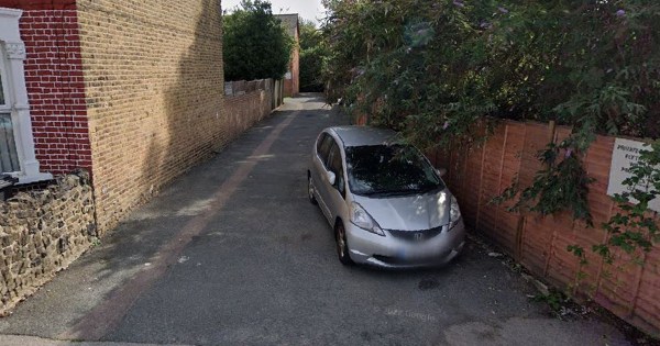Woman arrested on suspicion of murder after stabbing man to death in London apartment