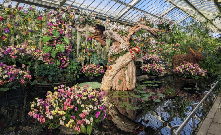 Things to do in London this weekend: March 2-3, 2024