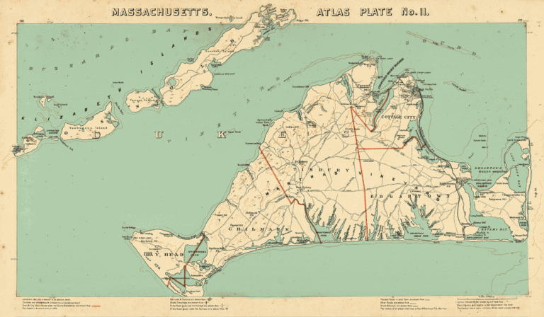 My Year on a Shrinking Island