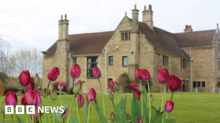 South Kesteven: Tulips bloom in honor of the connection to World War II