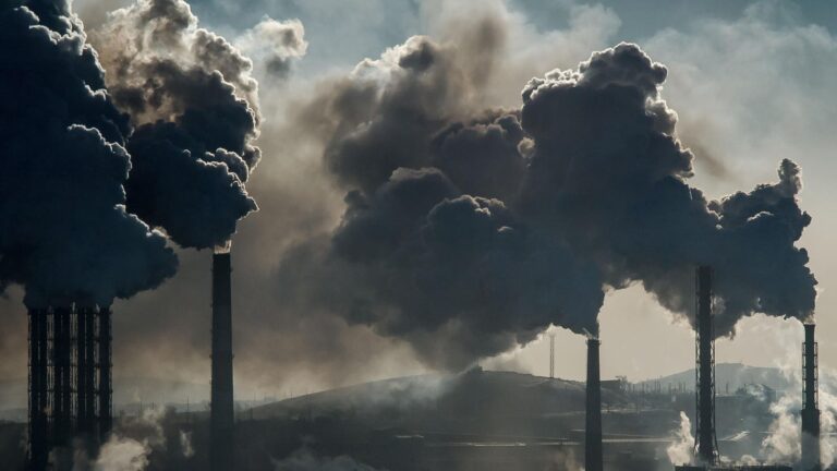 Air pollution linked to increased deaths from heart disease, obesity and diabetes, according to World Heart Report