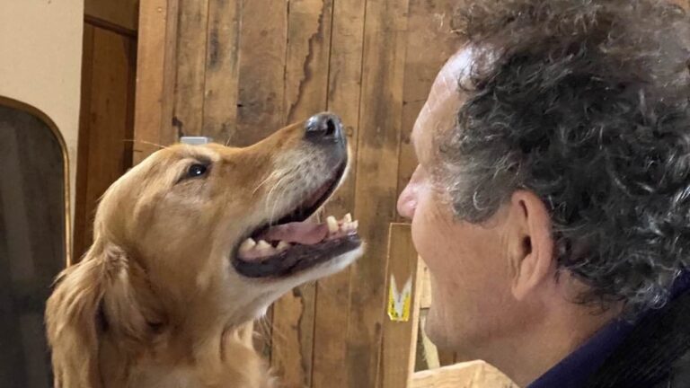 Gardener’s World star Monty Don mourns his dog Nell months after death, with fans hailing ‘great idea’