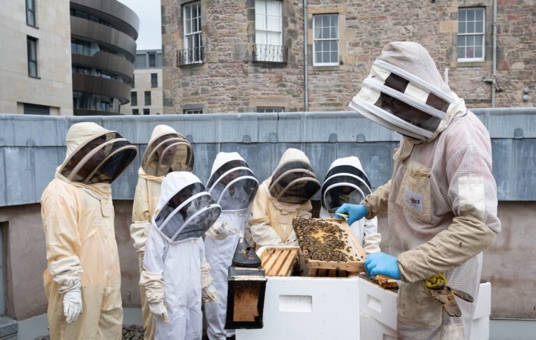 Celebrate World Bee Day at Maltrees Walk
