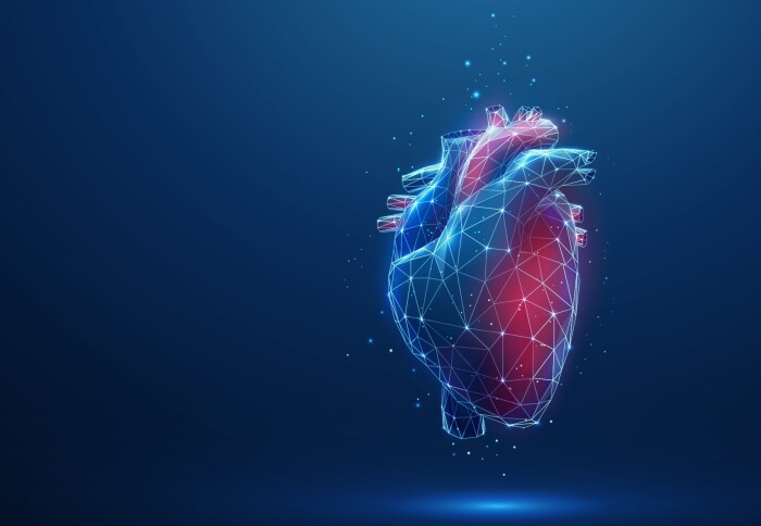 Imperial team awarded £5m from BHF to support world-leading heart research | Imperial News